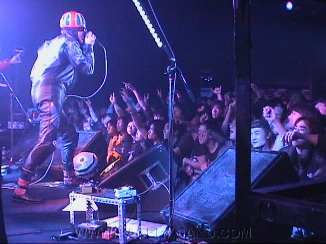 40. The crowd going nuts..jpg