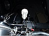 11. The skull..jpg