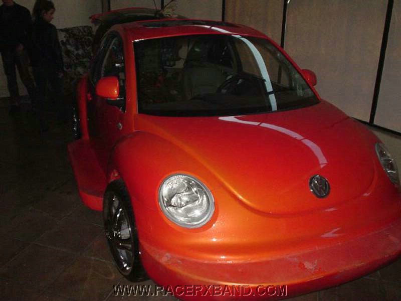 48. Another shot at Swamp Buggy Beetle..jpg