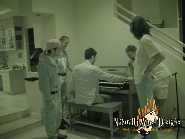 006. burningorgan2.jpg