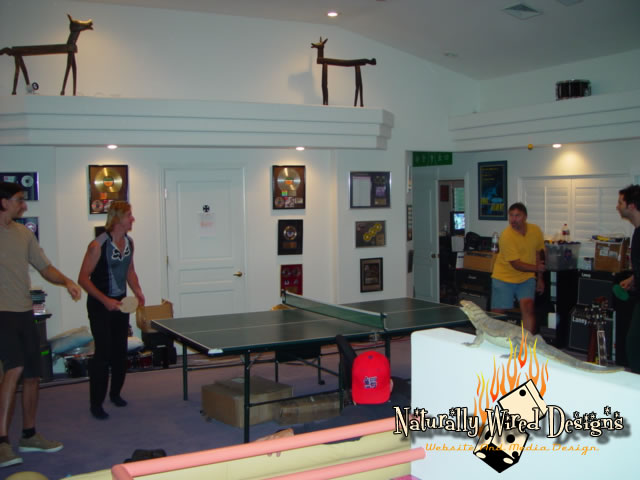 205. pingpong3.jpg