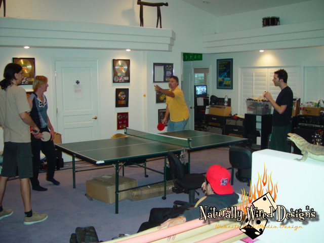 206. pingpong4.jpg