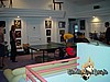 204. pingpong2.jpg